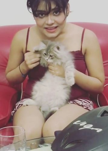 Rashi Raga- Cat Lover