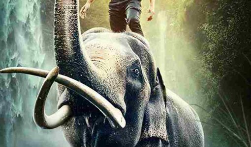 Junglee