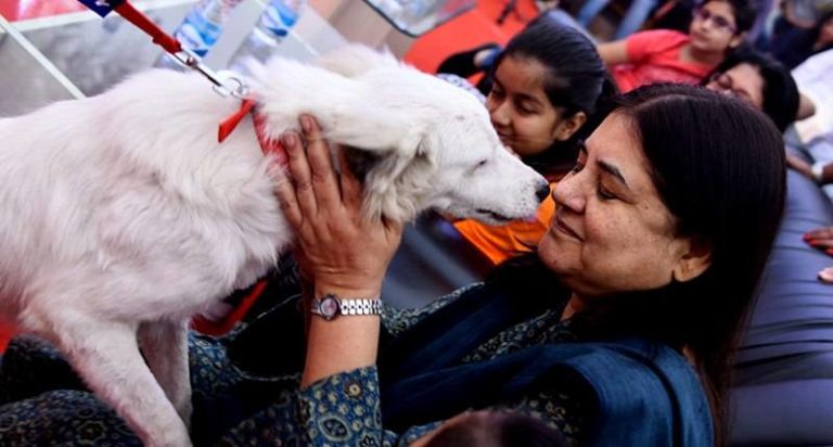 Maneka Gandhi Animal Welfare Contact Number - Photos All Recommendation