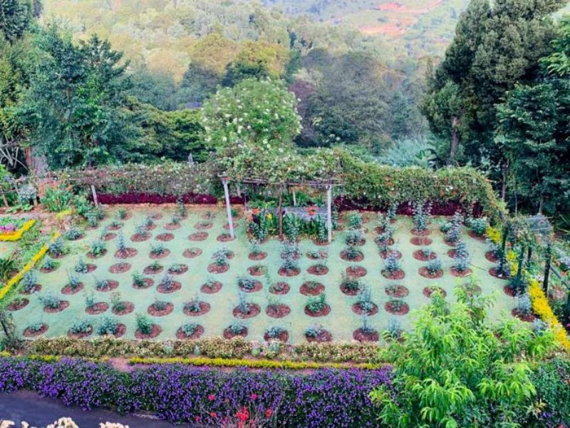 A picture of Sam Manekshaw's garden