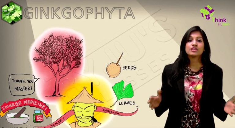 divya-gokulnath-age-caste-husband-family-career-biography-more