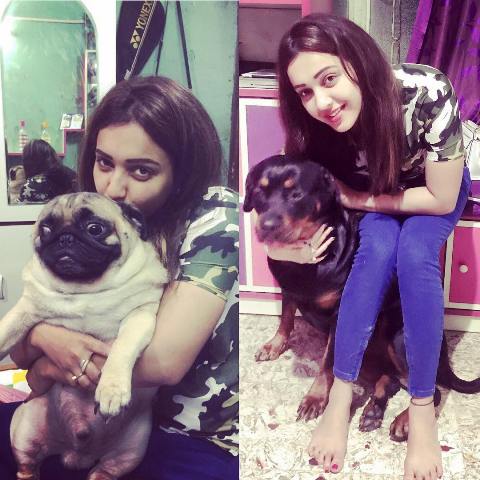 Koushani Mukherjee loves dogs