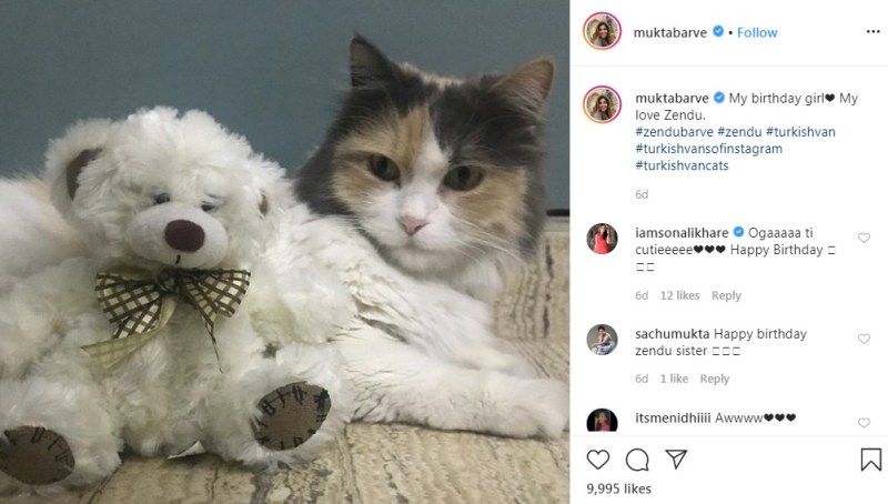 Mukta Barve's Post about her Pet Cat