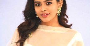 Hebah Patel profile