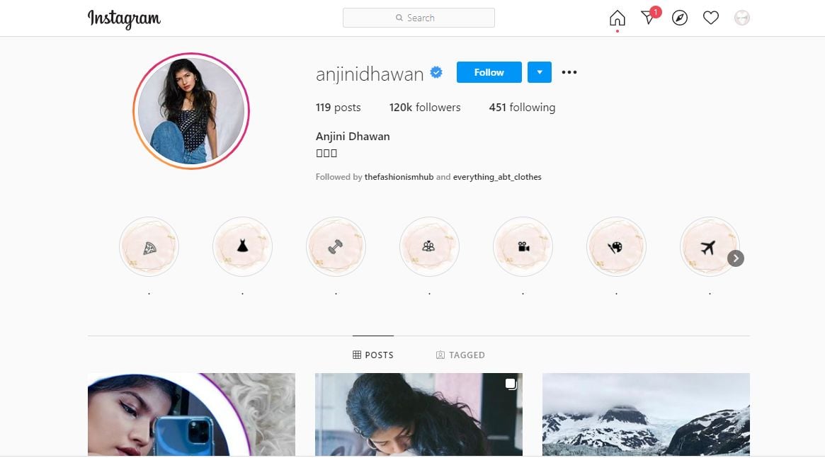 Anjini Dhawan's Instagram Profile