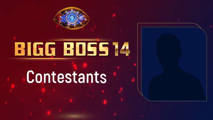 Bigg Boss 14 contestants