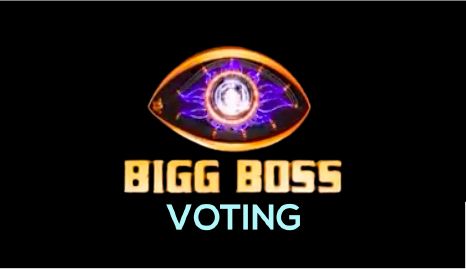Bigg Boss Voting