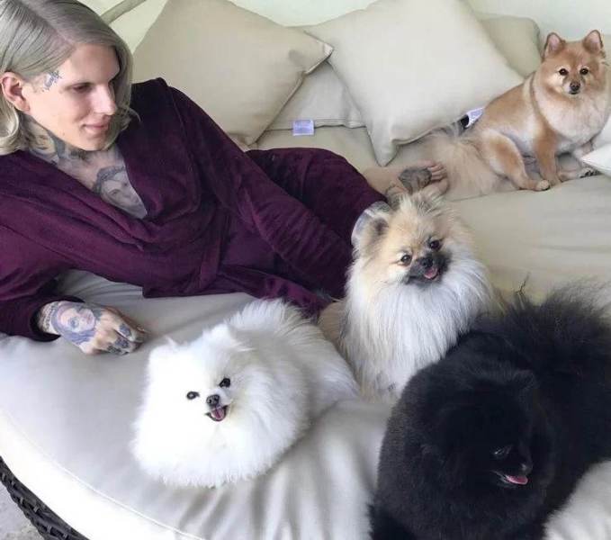 Jeffree Star with his dogs