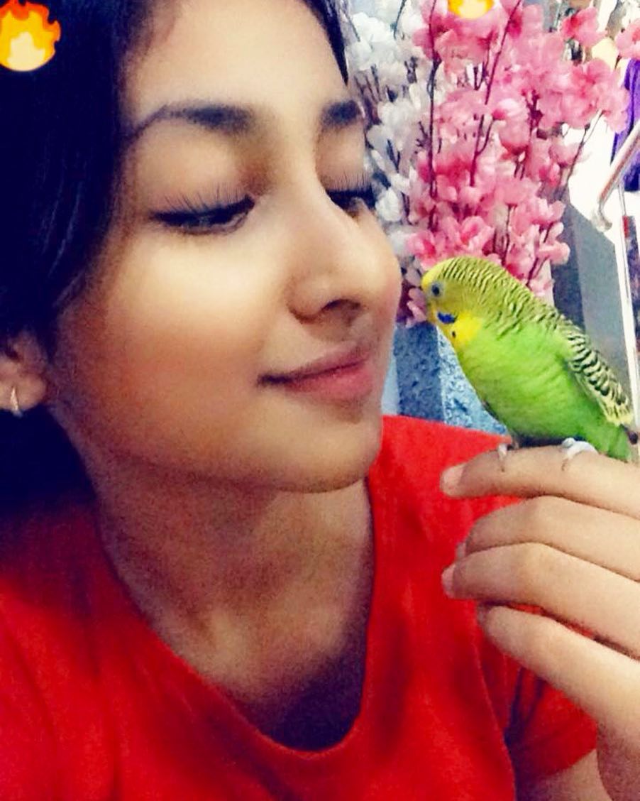 Anchal Sahu with her pet bird 