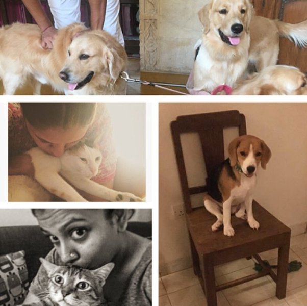 Arti Nayar with her pets