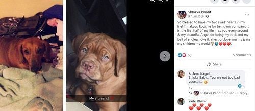 Shlokka Pandit Facebook post about her dogs