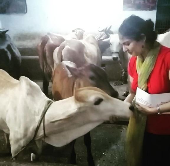 Maneeza Ahuja with a cow
