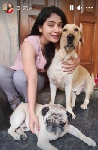Priyanka Thimmesh with her pet dogs