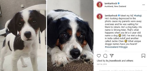 Karl Rock's Instagram post about his pet dog
