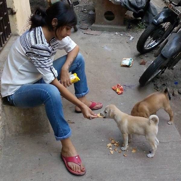 Mira Jagganath feeding stray dogs