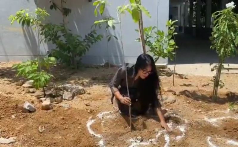 Anee Master while planting a tree sapling at her house