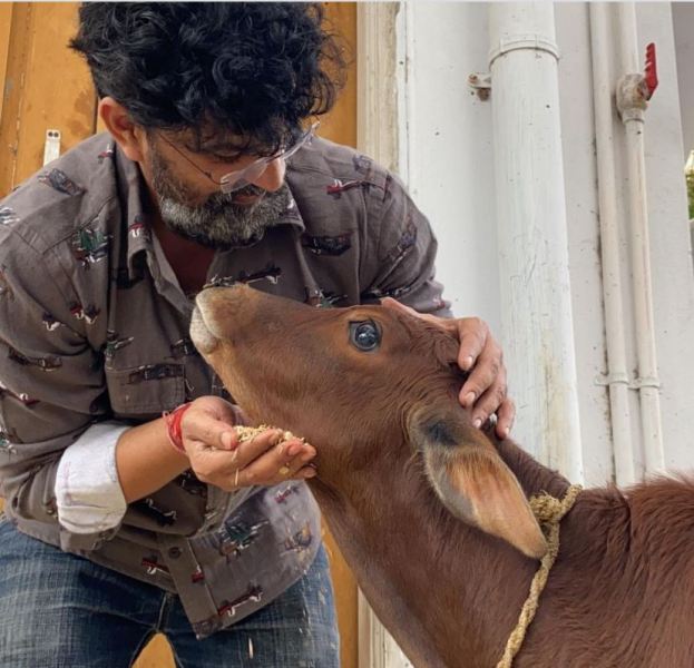 Ravi Kiran while feeding a stray cow outside his home