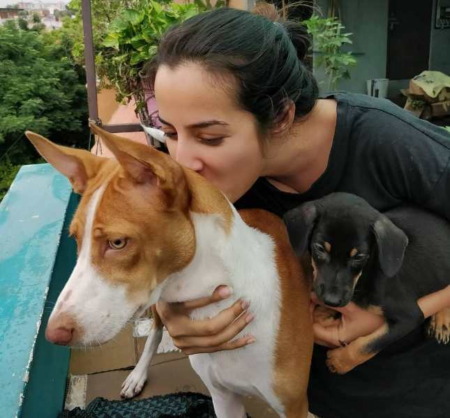 Amrutha Srinivasan with her pet dogs