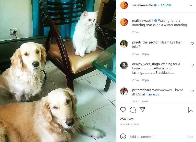 The Picture of Malini Awasthi's pet animals