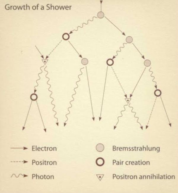 Bhabha- Heitler picture of a shower produced by a cascade of electromagnetic processes