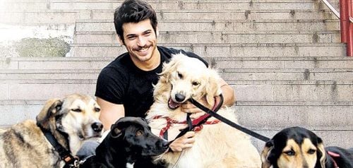 Can Yaman with his pet dogs