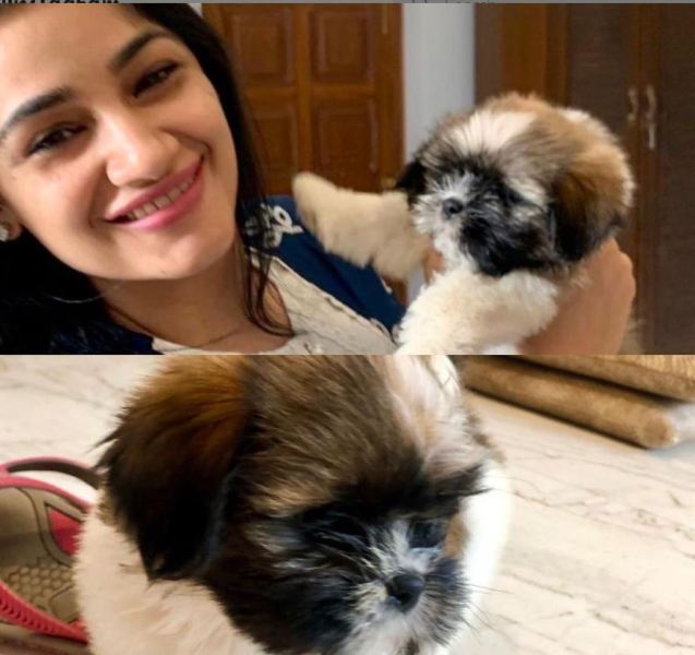 Charu Singh with her pet dog