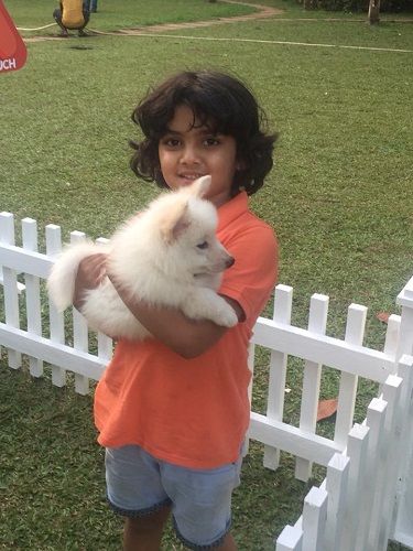 Prithviraj Sarnaik holding a puppy