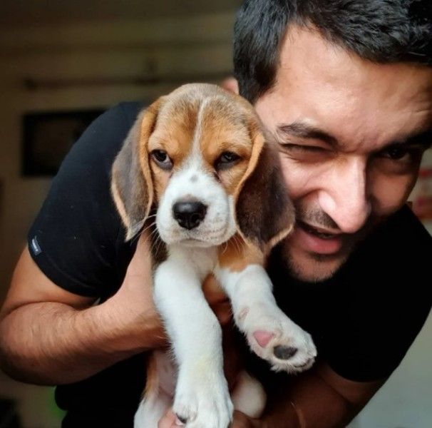 RJ Aabhimanyu with his pet dog