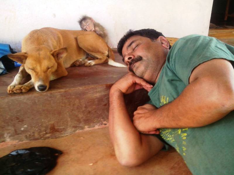 Dinesh Mangaluru sleeping alongside a dog