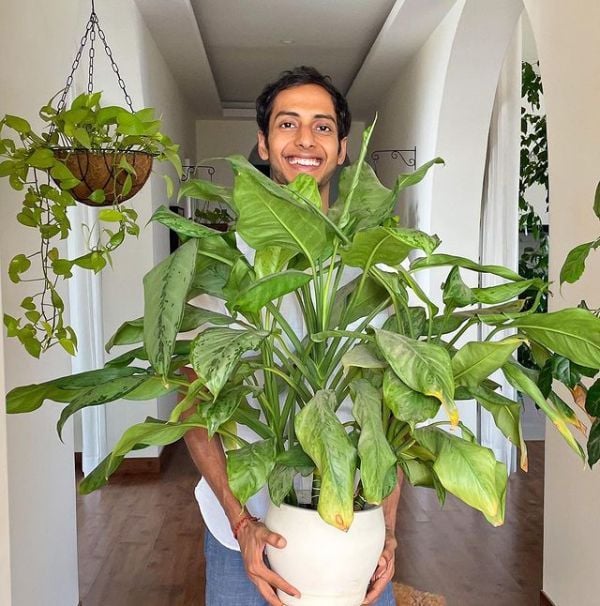 Harshvardhan posing with his favorite plant