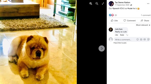 Taz's Facebook post about his dog
