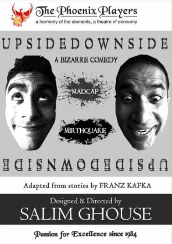 Upsidedownside poster