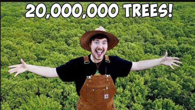 A bid to plant 20 million trees