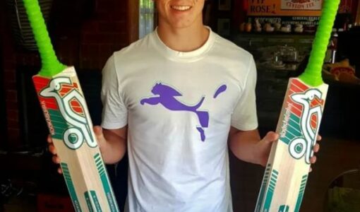 Dewald Brevis
