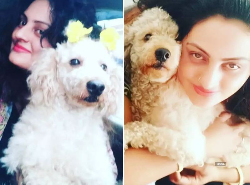 Suchitra Nair with her pet dog