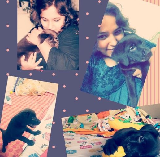 Deepika Khanna with her pet dog
