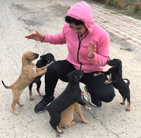 Pooja Dhanda with stray dogs