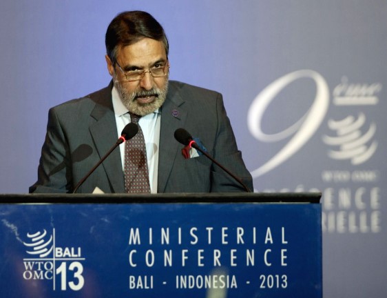 Anand Sharma during a foreign delegation conference in Bali in 2013