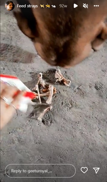 A still from Geetu Royal's Instagram story feeding a stray dog