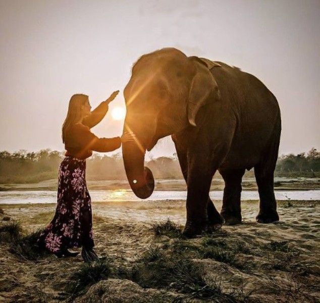 Instagram picture of Kristina Gurung posing with an elephant