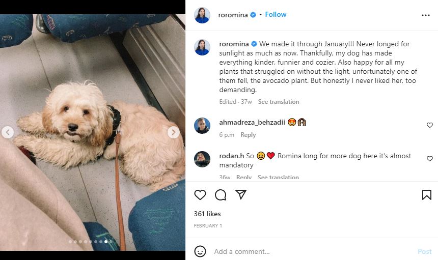 Romina Pourmokhtari's Instagram post about her pet dog