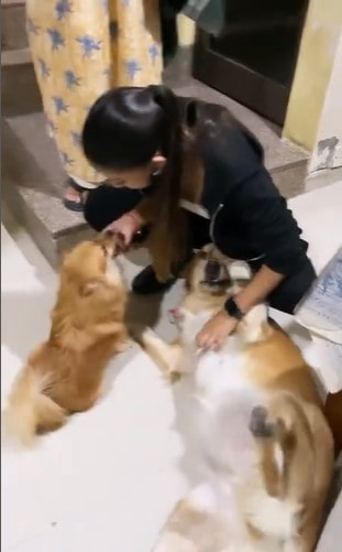 A photo of Akashlina Chandra playing with her pet dogs