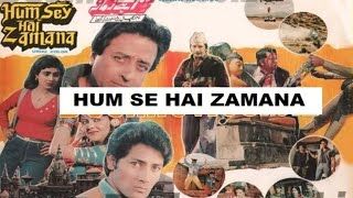 A poster of the Lollywood film Humse Hai Zamana (1985)