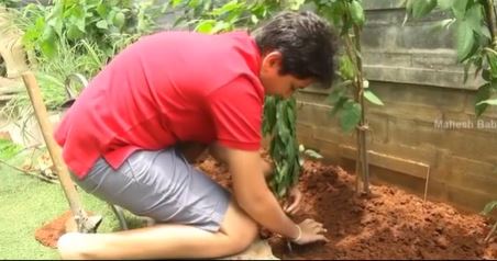 Gautam Ghattamaneni planting a tree