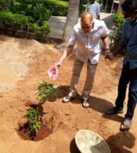 Krishna planting saplings at his residence in Hyderabad on the occasion of his 79th birthday