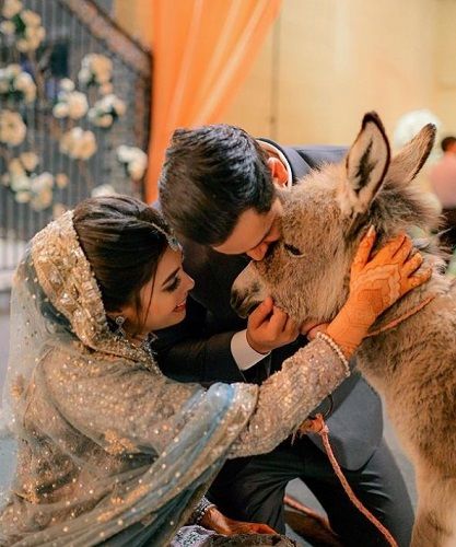 Azlan Shah gifting a baby donkey to his wife