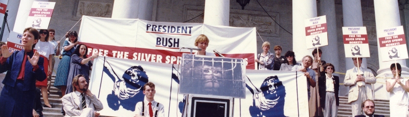 Ingrid Newkirk campaigning for rescuing The Silver Spring Monkeys in 1981