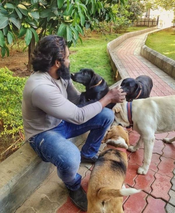 Rakshith Shetty's picture with dogs