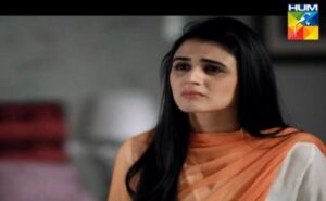 Hira Mani Age, Husband, Family, Biography & More » StarsUnfolded