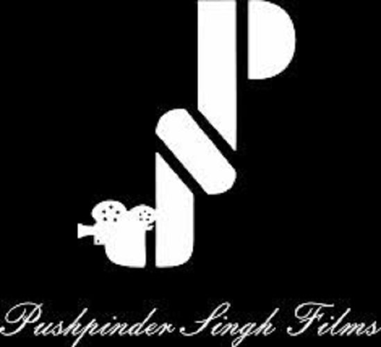 Pushpinder Singh Joshi's company logo